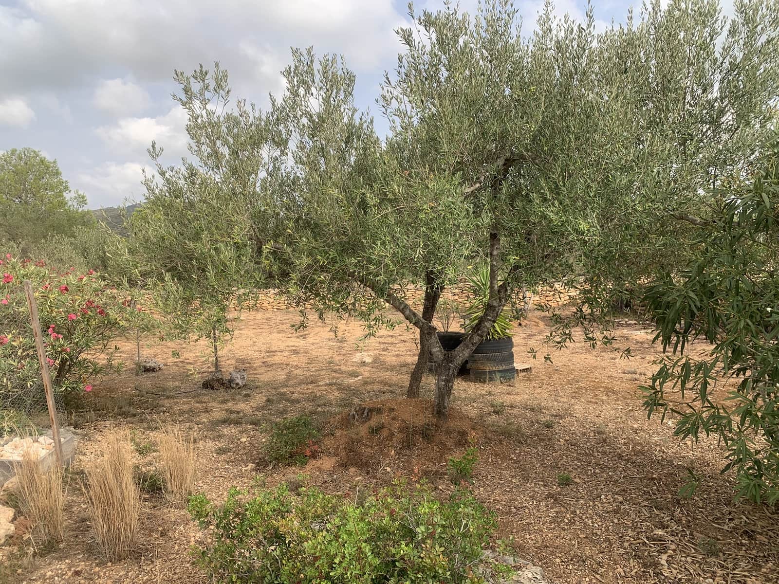 3 camera da letto Finca/Casa di Campagna in vendita in Camp-redo con piscina garage - 364.000 € (Rif: 9207505)