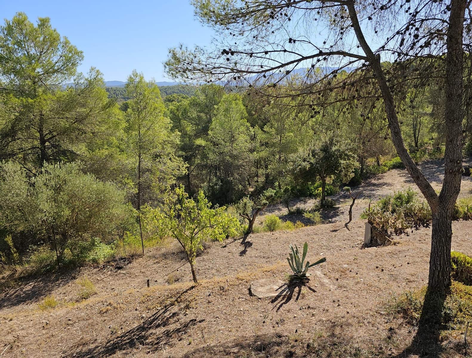 21 soverom Finca/Herregård til salgs i Tivissa - € 179 000 (Ref: 9227891)