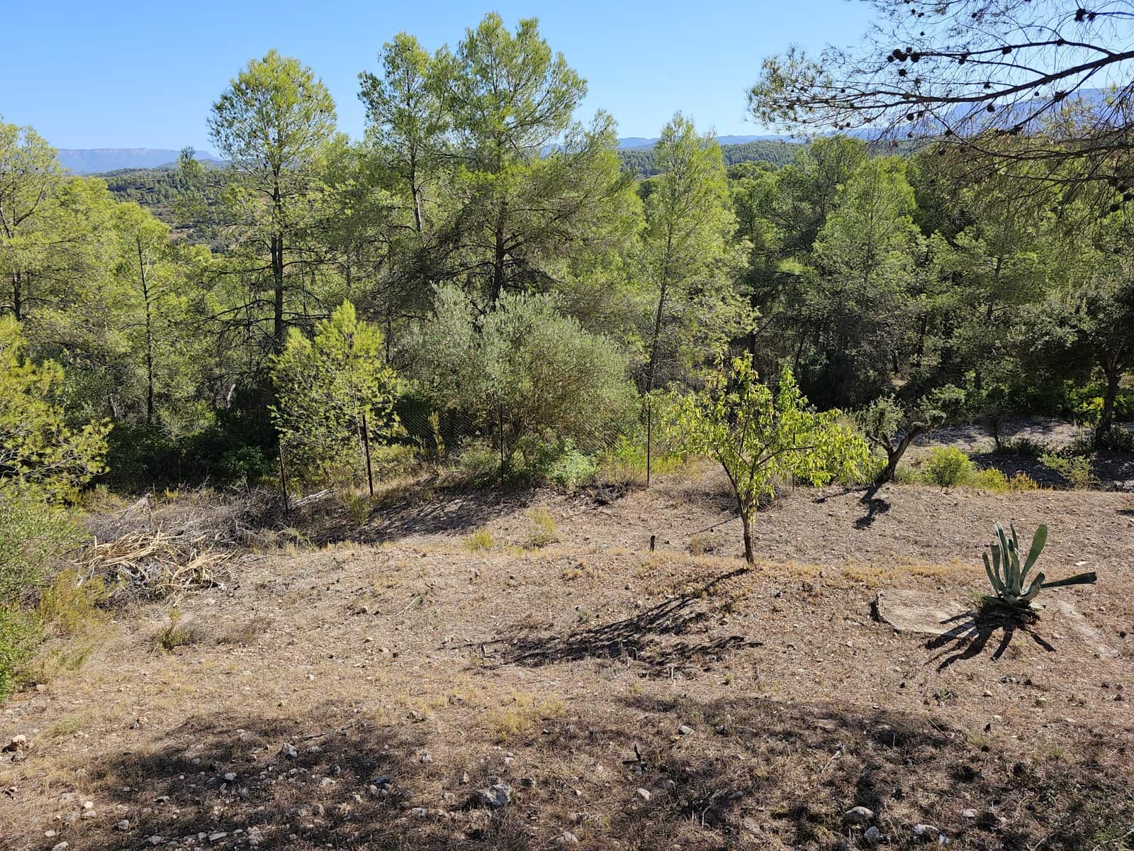 21 soverom Finca/Herregård til salgs i Tivissa - € 179 000 (Ref: 9227891)