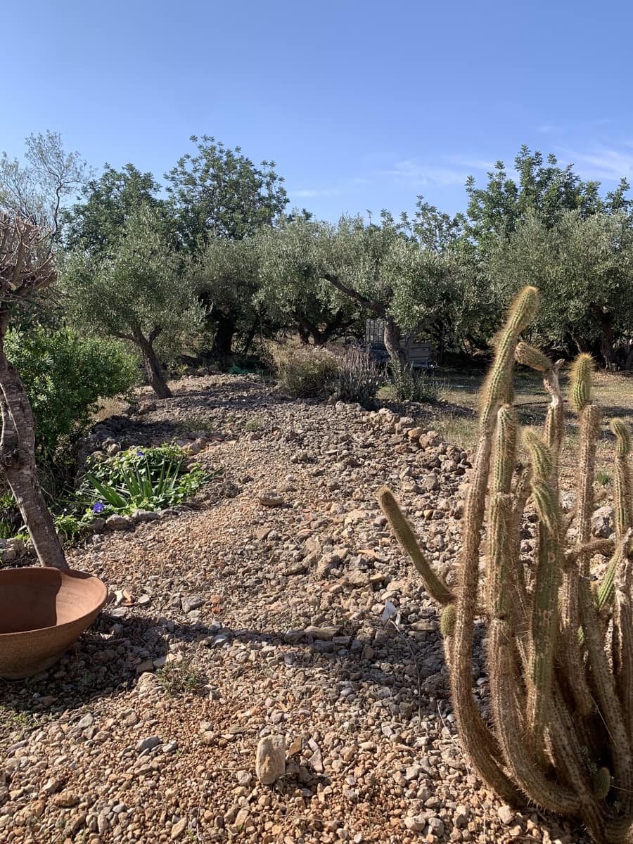 3 camera da letto Finca/Casa di Campagna in vendita in Roquetes - 239.000 € (Rif: 9301971)