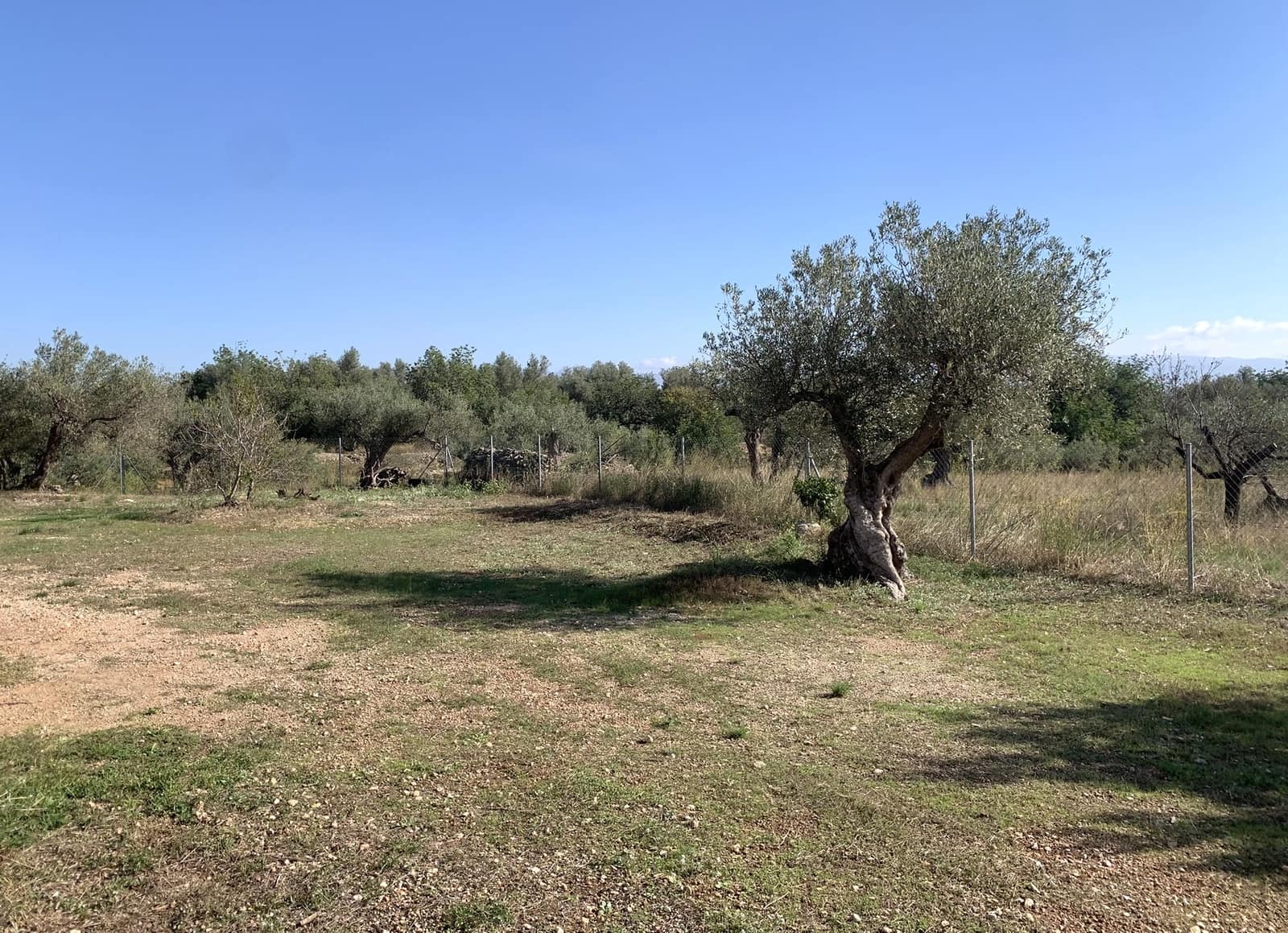 3 camera da letto Finca/Casa di Campagna in vendita in Roquetes - 239.000 € (Rif: 9301971)