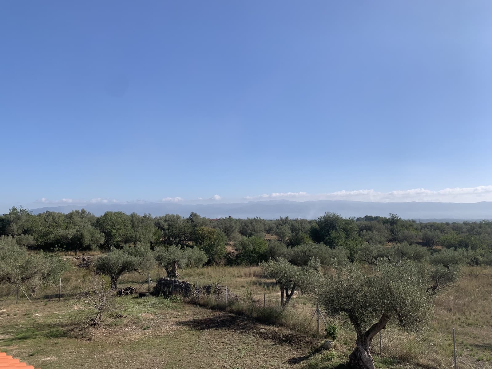 3 camera da letto Finca/Casa di Campagna in vendita in Roquetes - 239.000 € (Rif: 9301971)