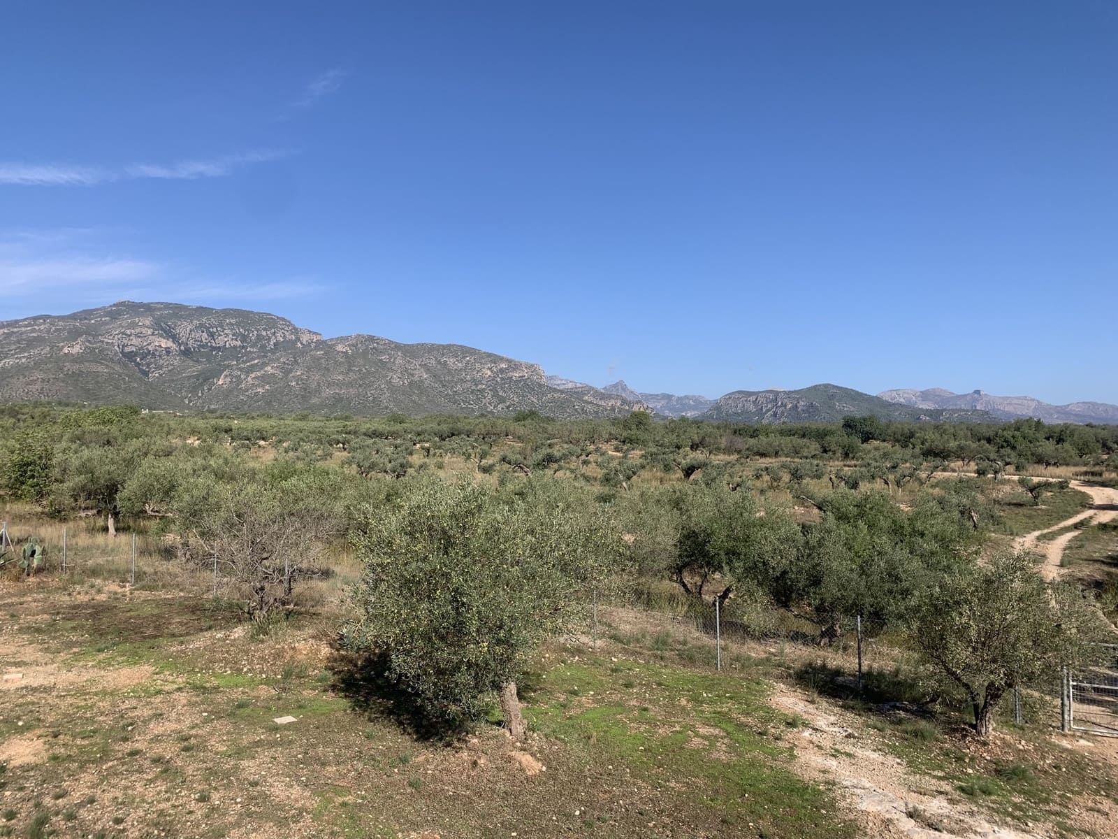 3 camera da letto Finca/Casa di Campagna in vendita in Roquetes - 239.000 € (Rif: 9301971)