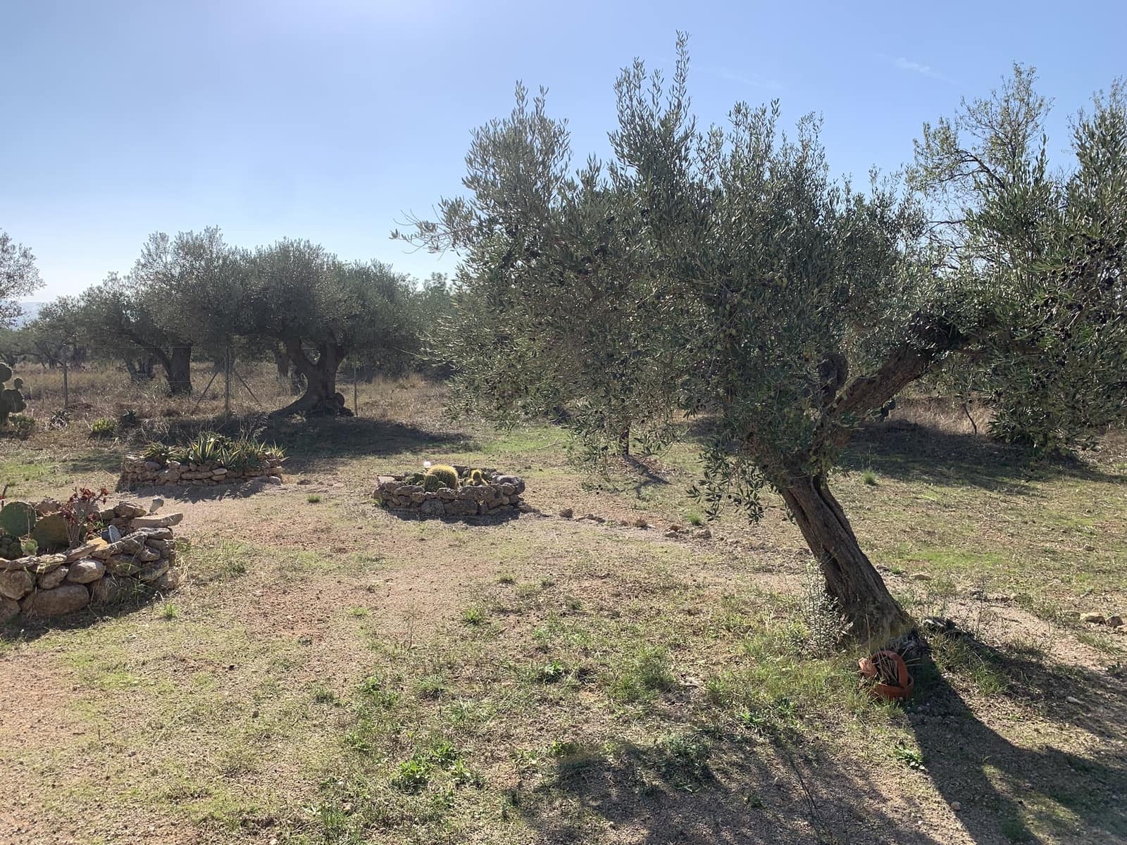 3 camera da letto Finca/Casa di Campagna in vendita in Roquetes - 239.000 € (Rif: 9301971)