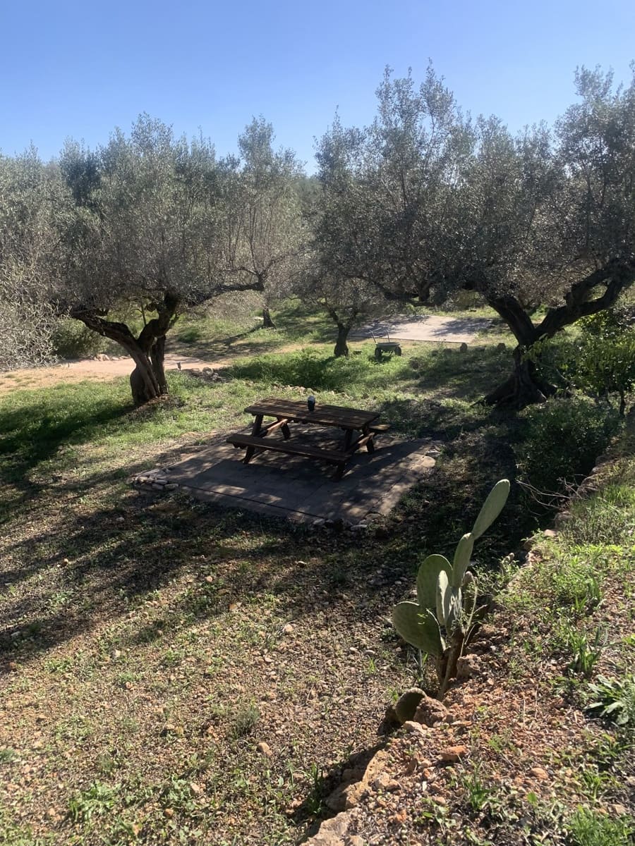 5 soverom Finca/Herregård til salgs i Camarles med garasje - € 435 000 (Ref: 9447026)