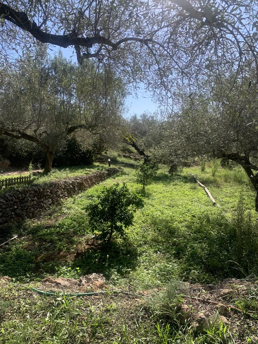 5 soverom Finca/Herregård til salgs i Camarles med garasje - € 435 000 (Ref: 9447026)