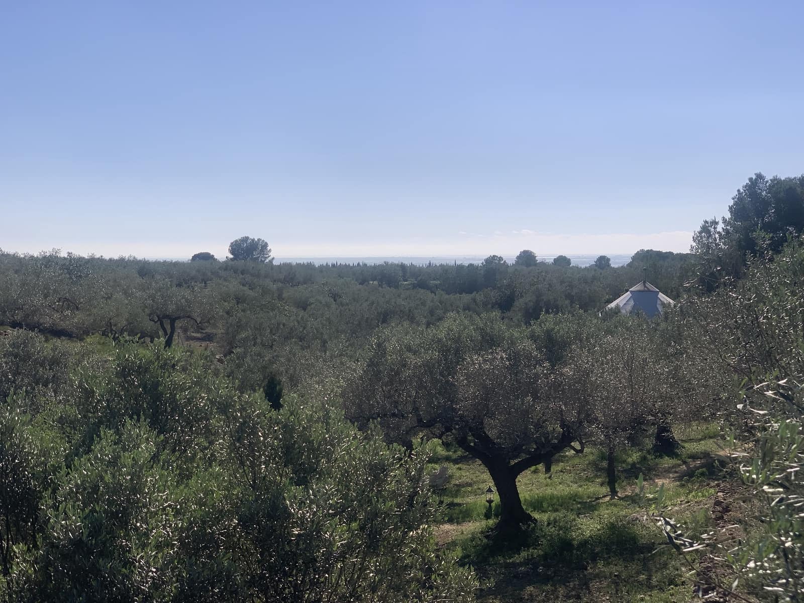 5 soverom Finca/Herregård til salgs i Camarles med garasje - € 435 000 (Ref: 9447026)