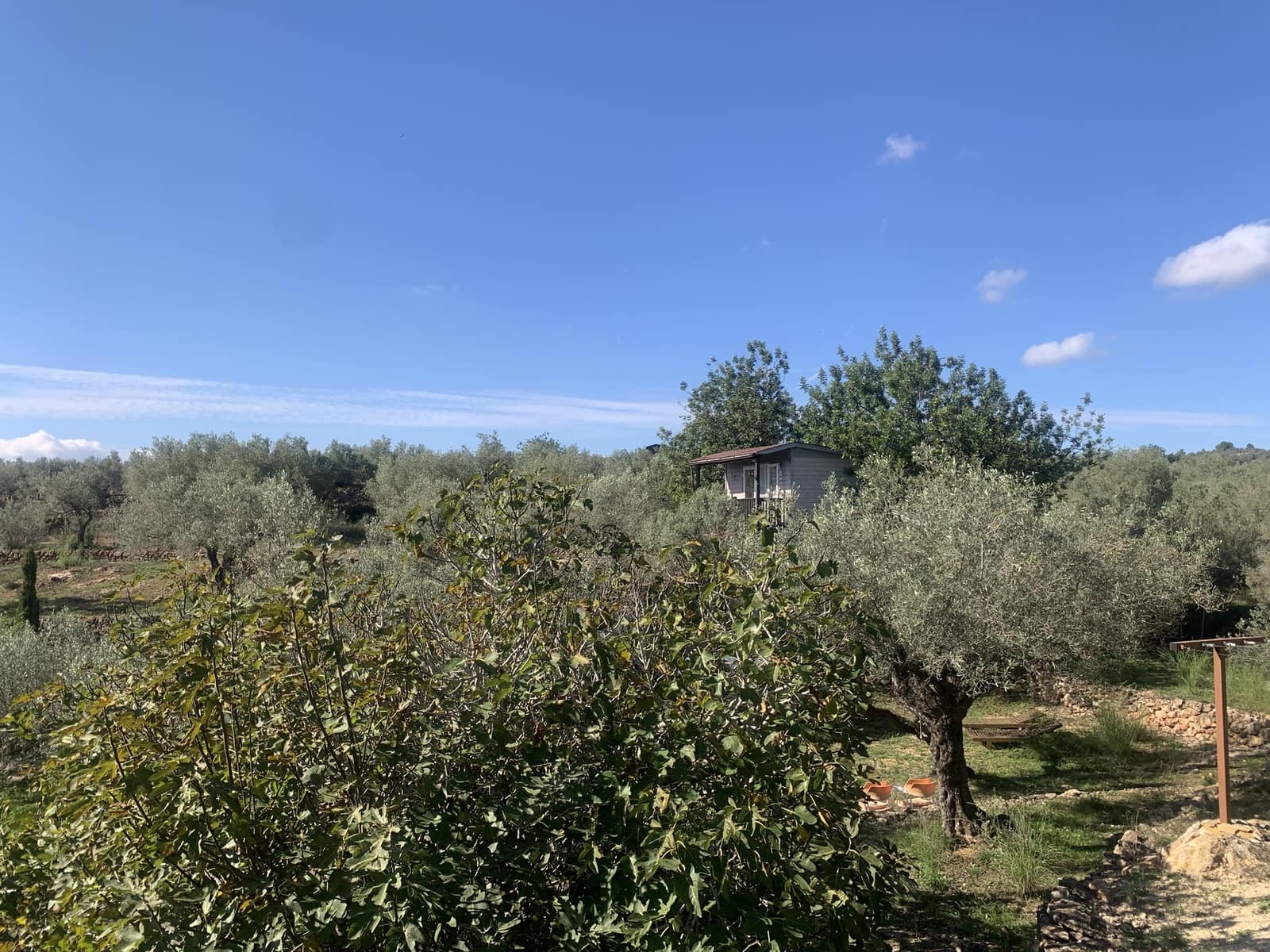 5 soverom Finca/Herregård til salgs i Camarles med garasje - € 435 000 (Ref: 9447026)