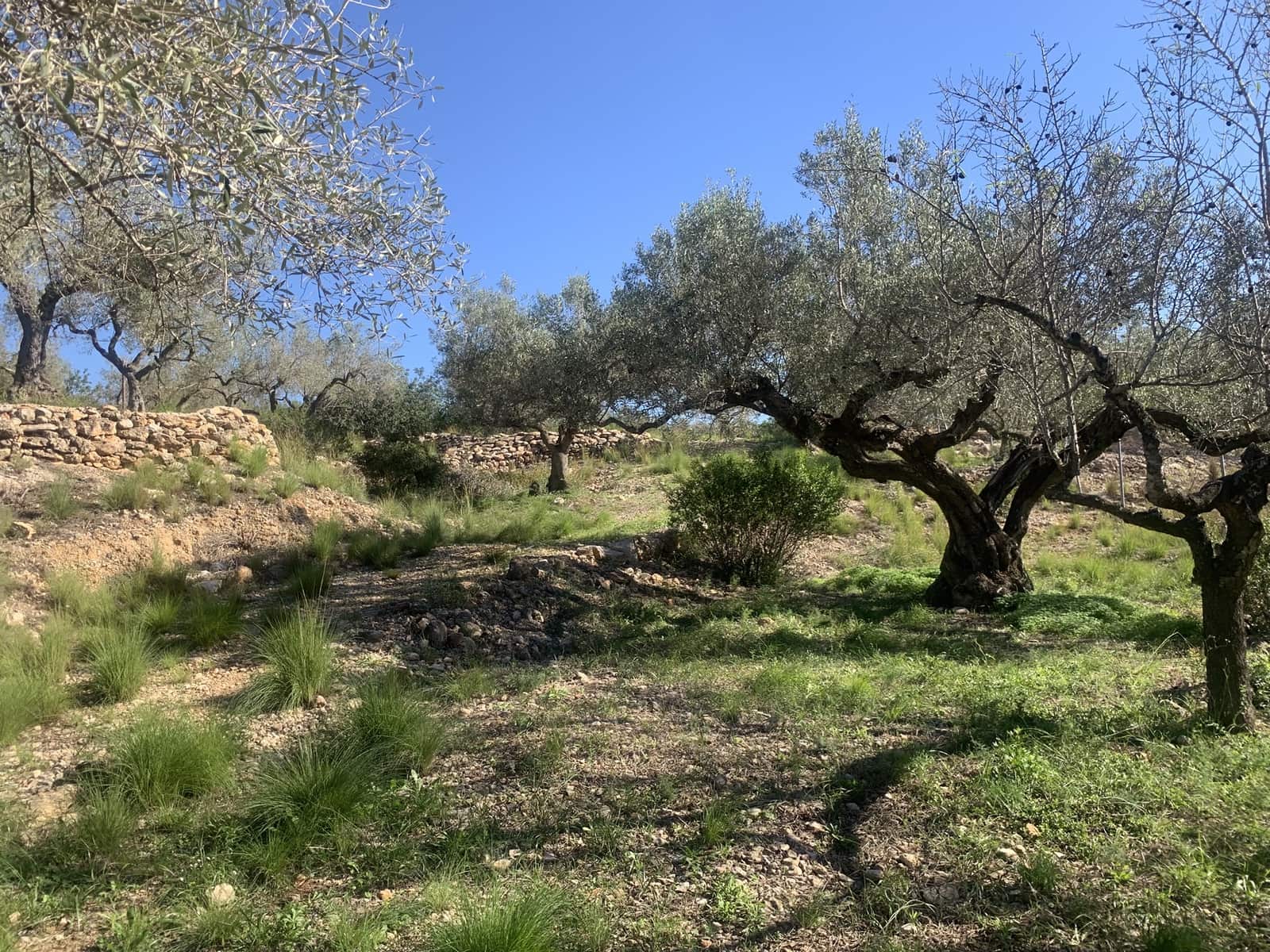 5 soverom Finca/Herregård til salgs i Camarles med garasje - € 435 000 (Ref: 9447026)