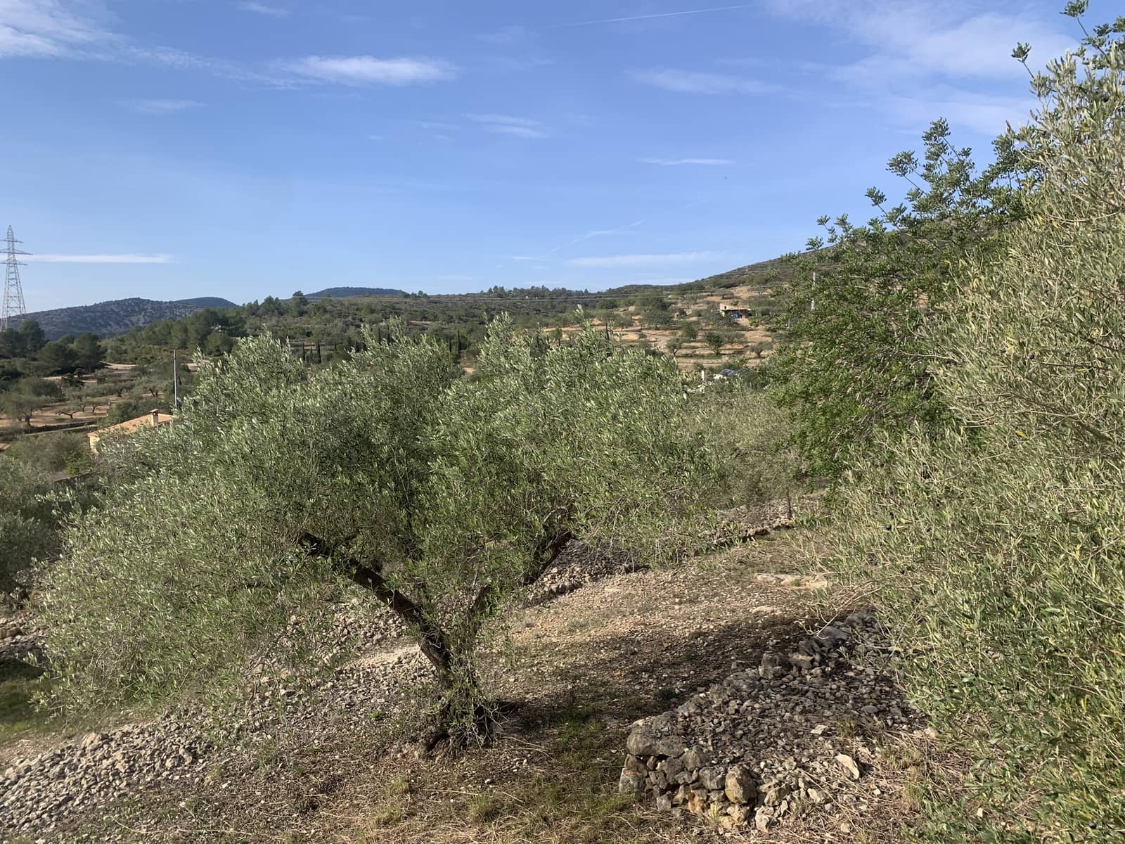 4 bedroom Finca/Country House for sale in El Perello with pool garage - € 515,000 (Ref: 9720568)