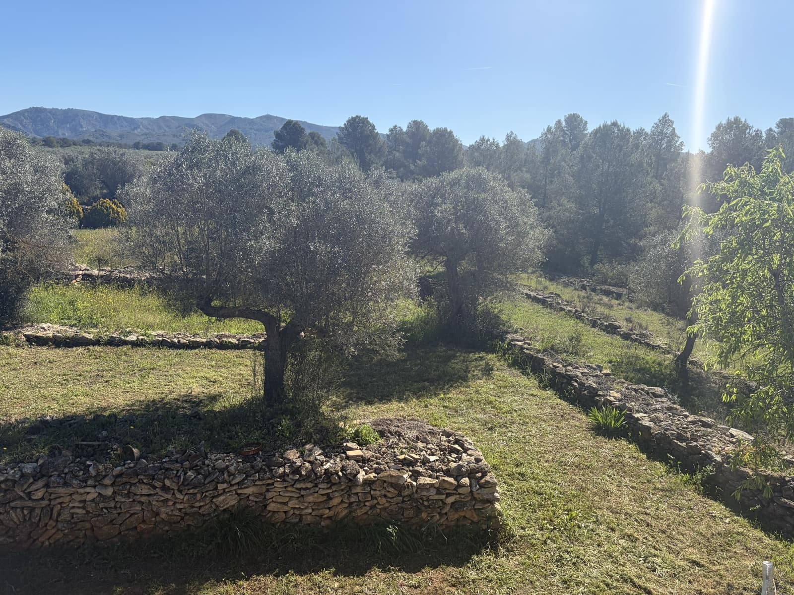 2 bedroom Finca/Country House for sale in Tivissa with garage - € 169,000 (Ref: 9736135)