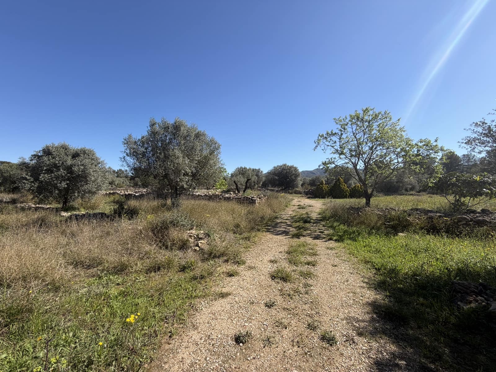 2 bedroom Finca/Country House for sale in Tivissa with garage - € 169,000 (Ref: 9736135)