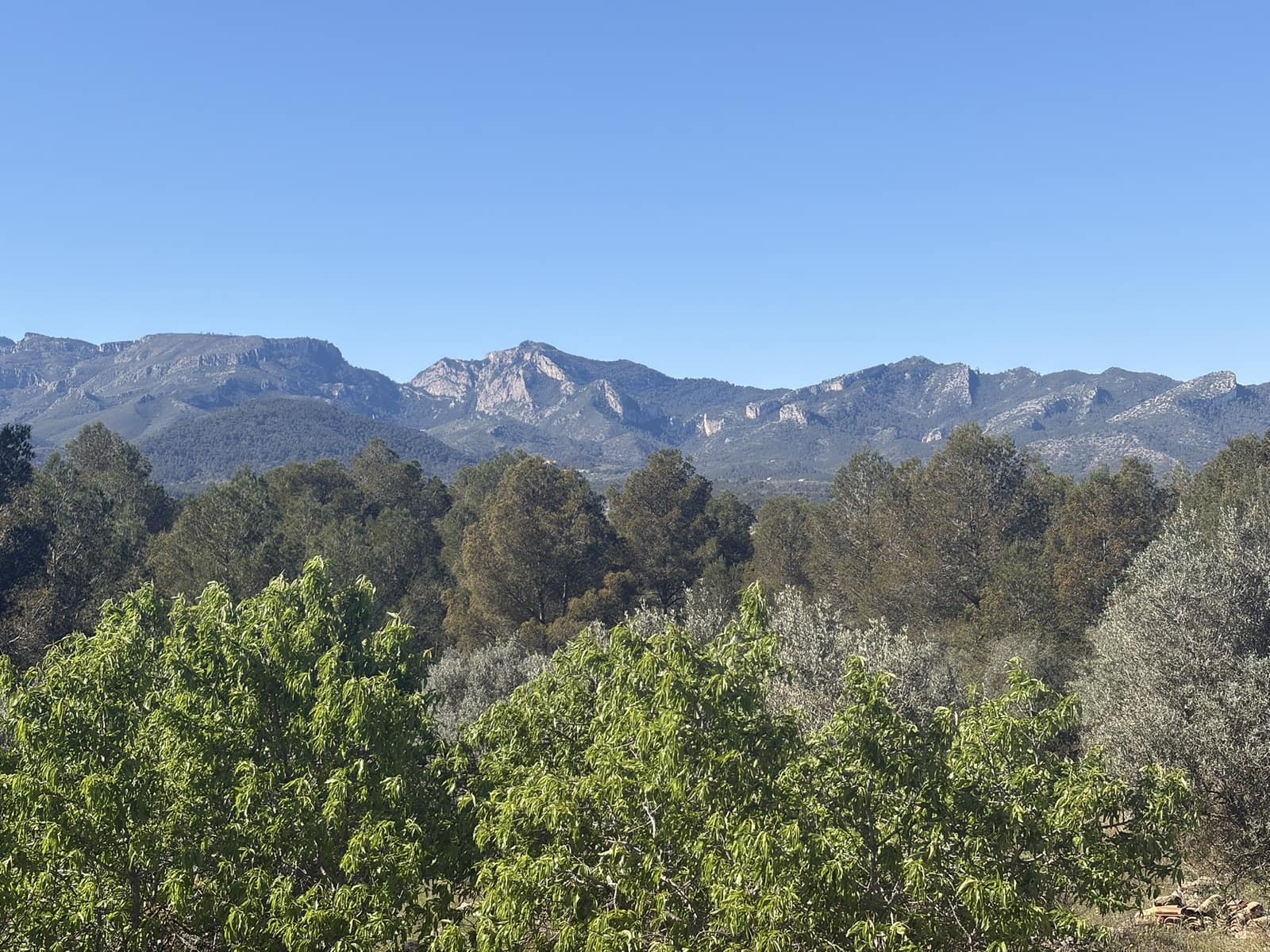 2 bedroom Finca/Country House for sale in Tivissa with garage - € 169,000 (Ref: 9736135)