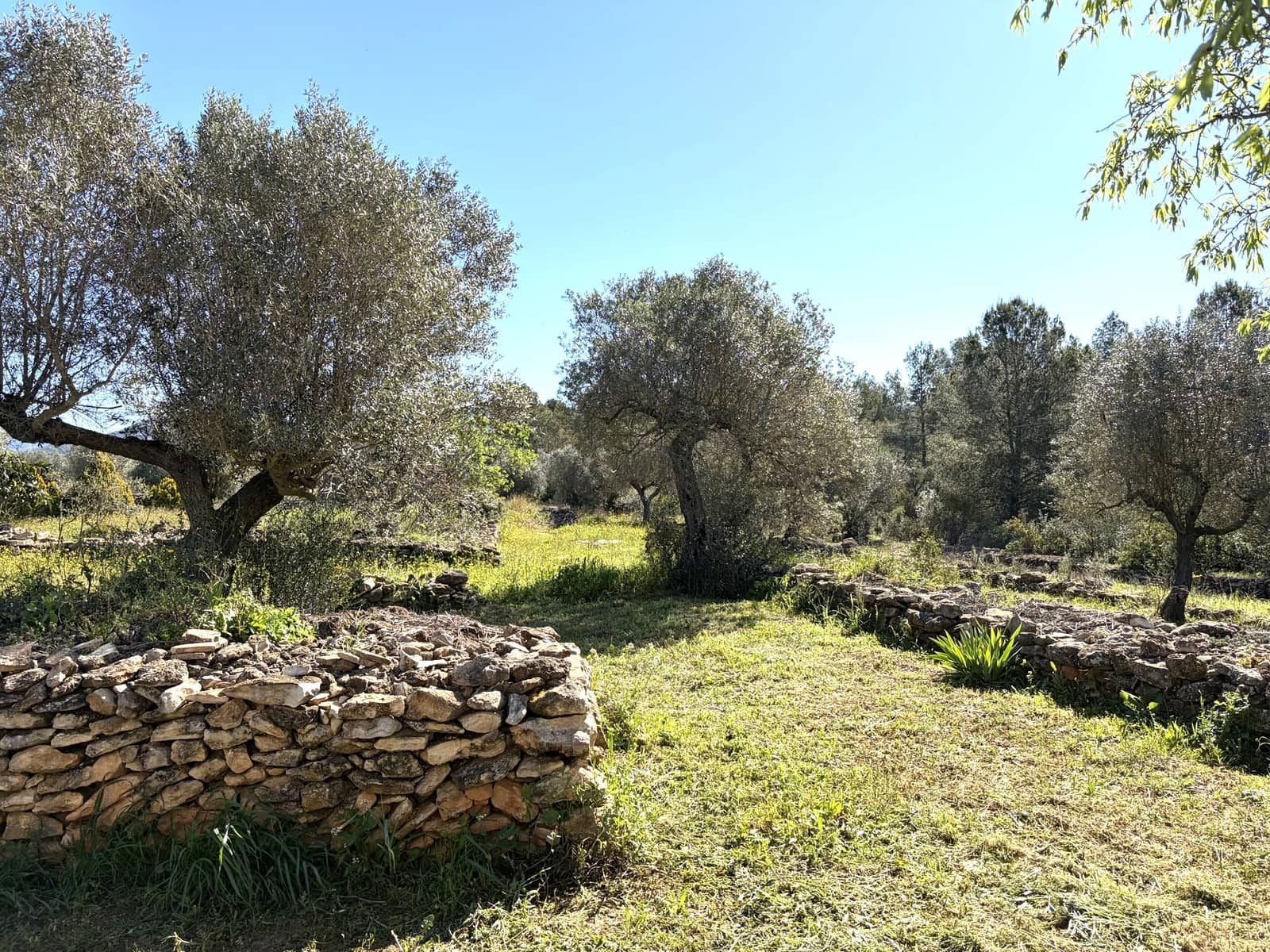 2 bedroom Finca/Country House for sale in Tivissa with garage - € 169,000 (Ref: 9736135)