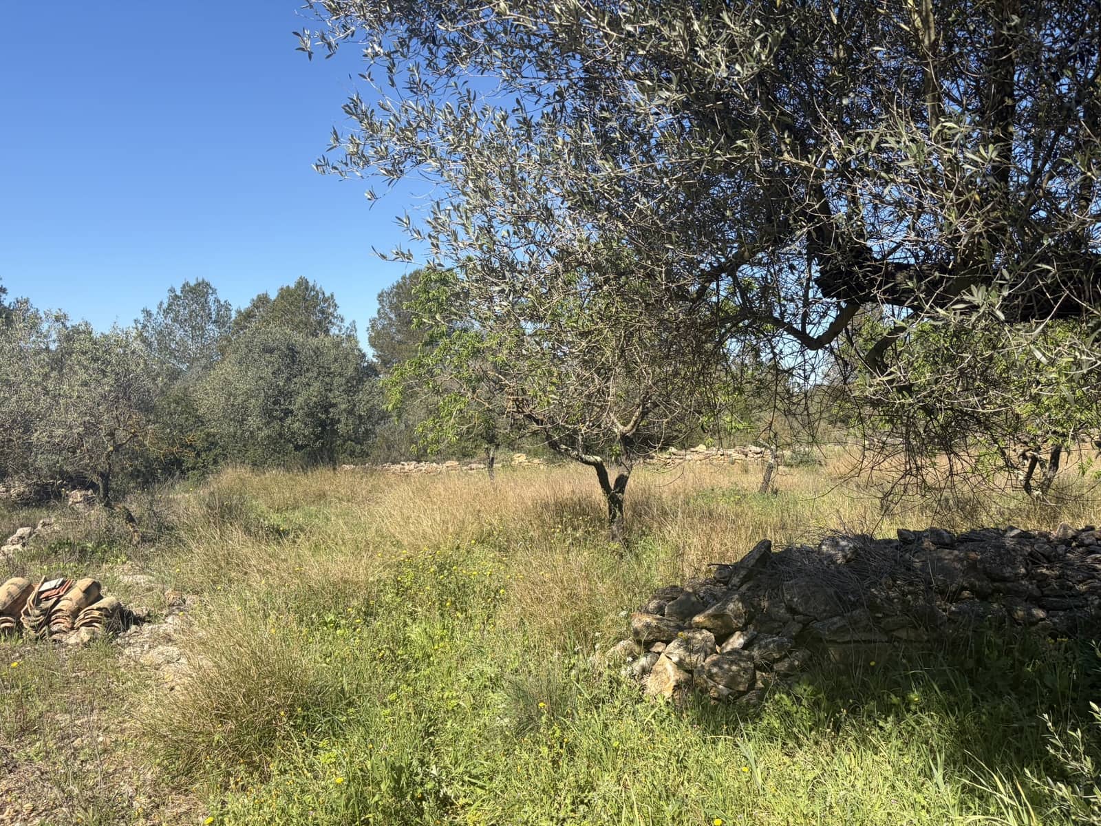 2 bedroom Finca/Country House for sale in Tivissa with garage - € 169,000 (Ref: 9736135)