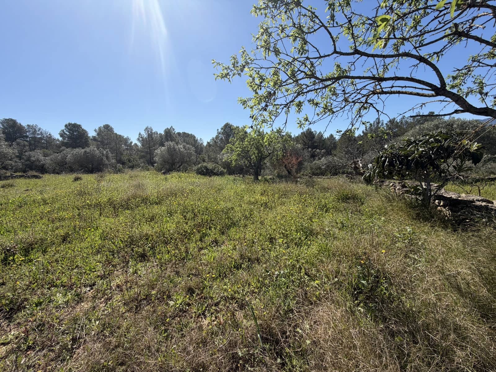 2 bedroom Finca/Country House for sale in Tivissa with garage - € 169,000 (Ref: 9736135)