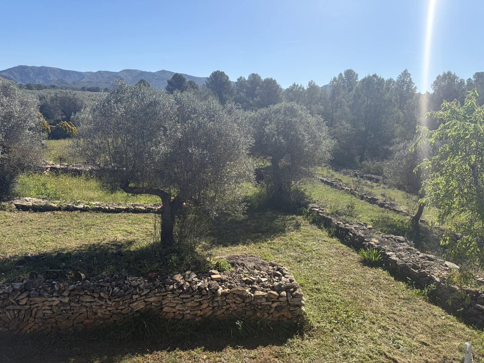 2 slaapkamer Finca/Landhuis te koop in Tivissa met garage - € 169.000 (Ref: 9736135)