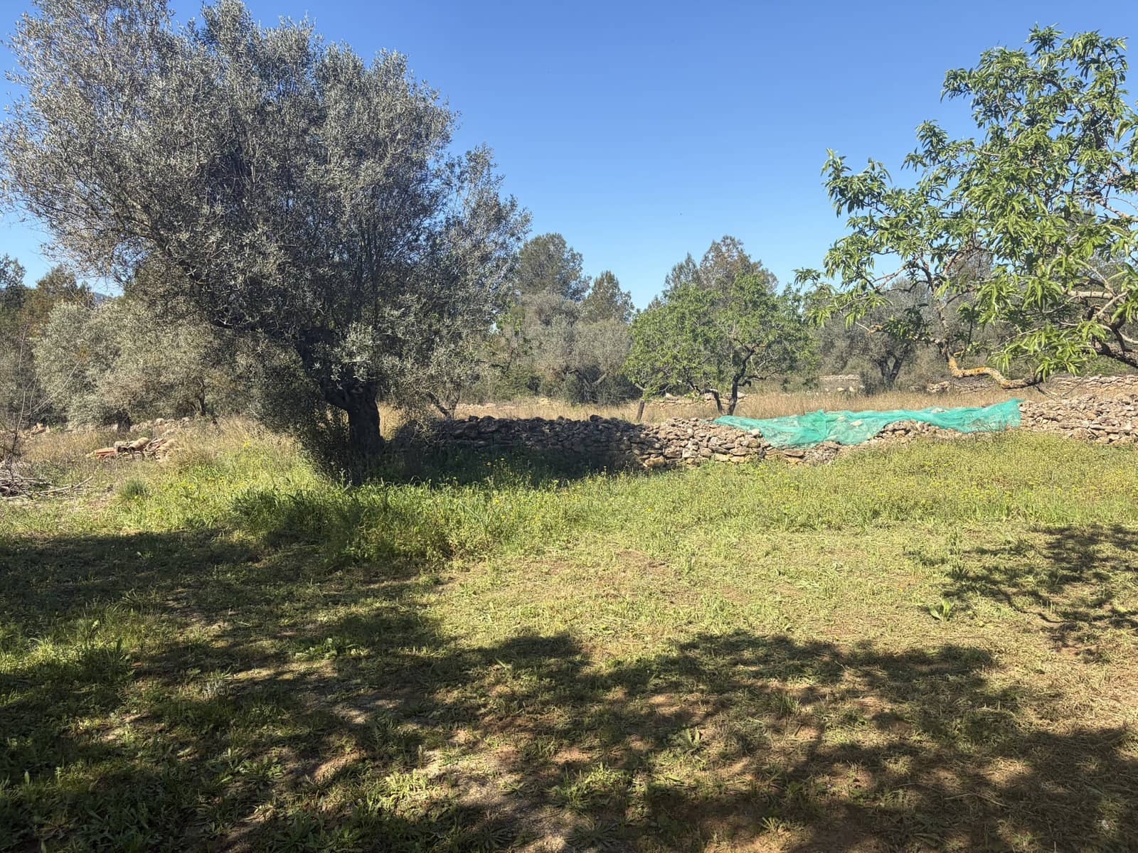 2 slaapkamer Finca/Landhuis te koop in Tivissa met garage - € 169.000 (Ref: 9736135)
