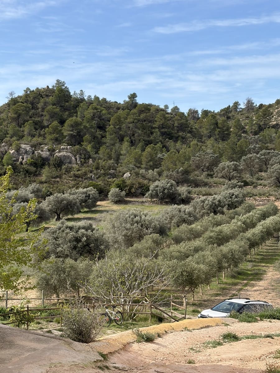 5 sypialnia Finka/Dom wiejski na sprzedaż w Flix z basenem garażem - 390 000 € (Ref: 9793612)