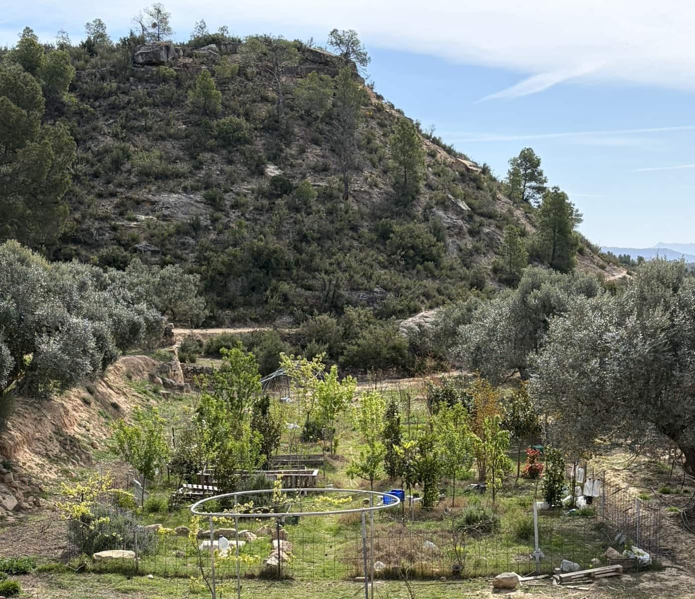 5 sypialnia Finka/Dom wiejski na sprzedaż w Flix z basenem garażem - 390 000 € (Ref: 9793612)