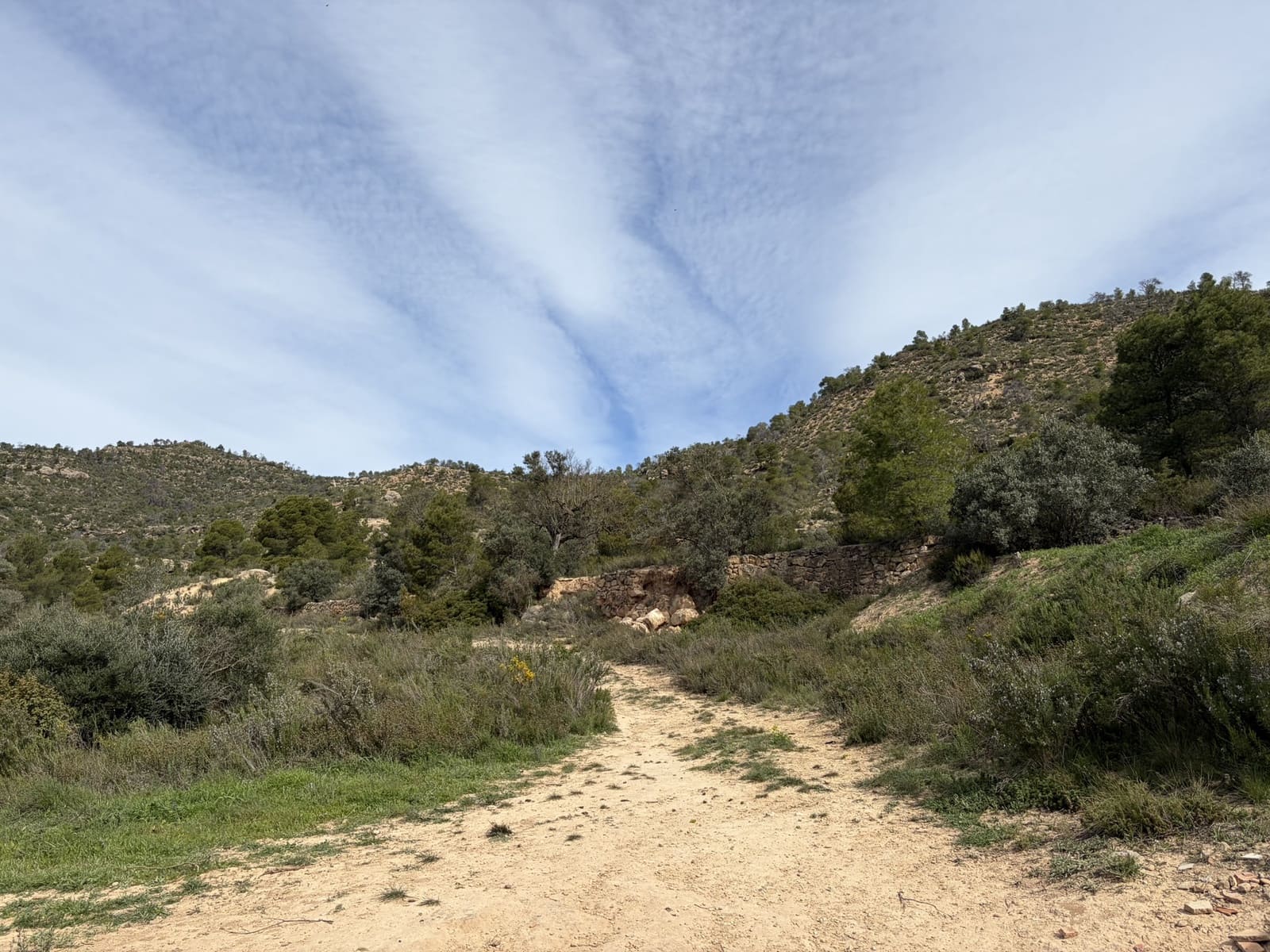 5 sypialnia Finka/Dom wiejski na sprzedaż w Flix z basenem garażem - 390 000 € (Ref: 9793612)