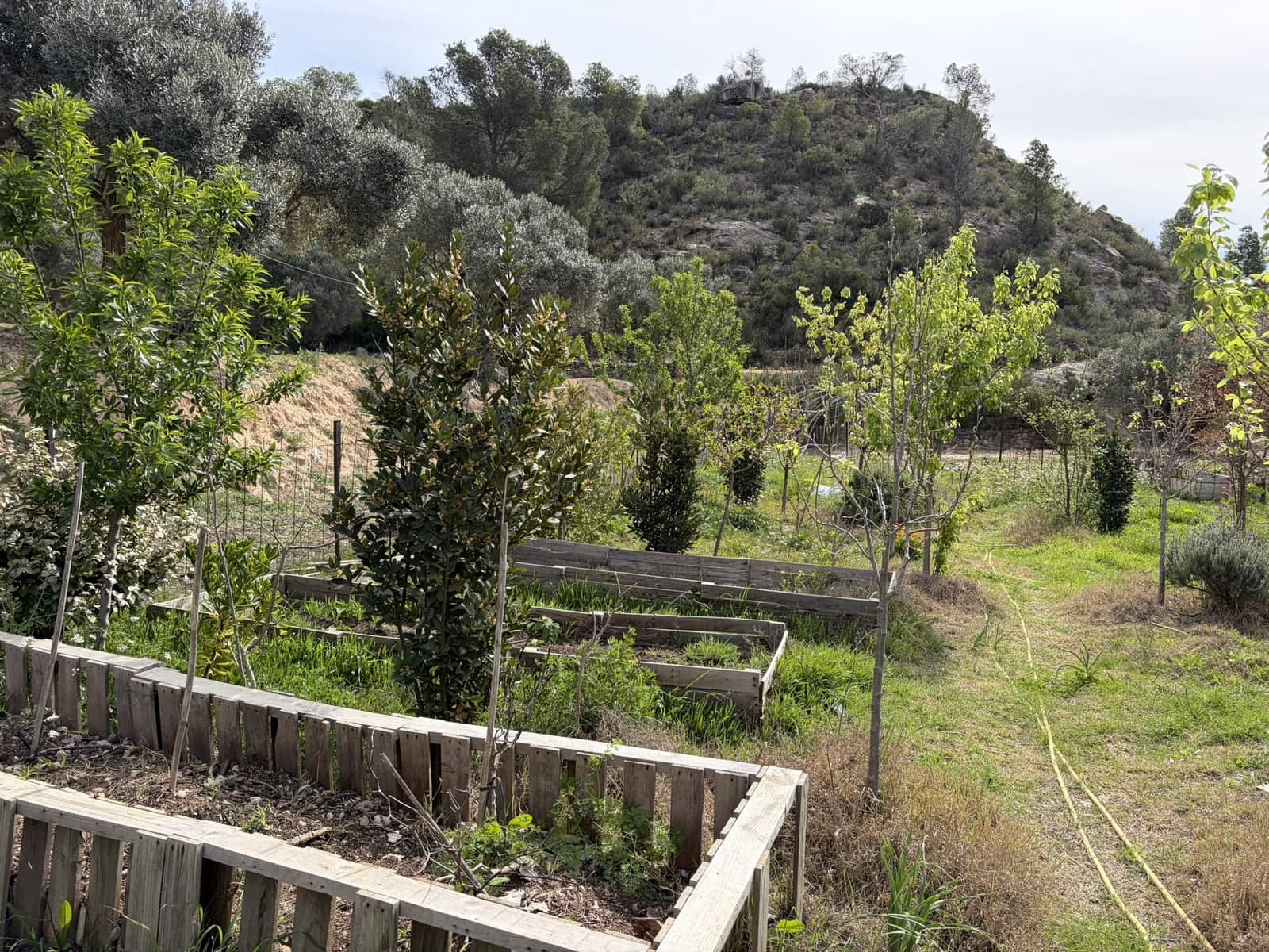 5 sypialnia Finka/Dom wiejski na sprzedaż w Flix z basenem garażem - 390 000 € (Ref: 9793612)