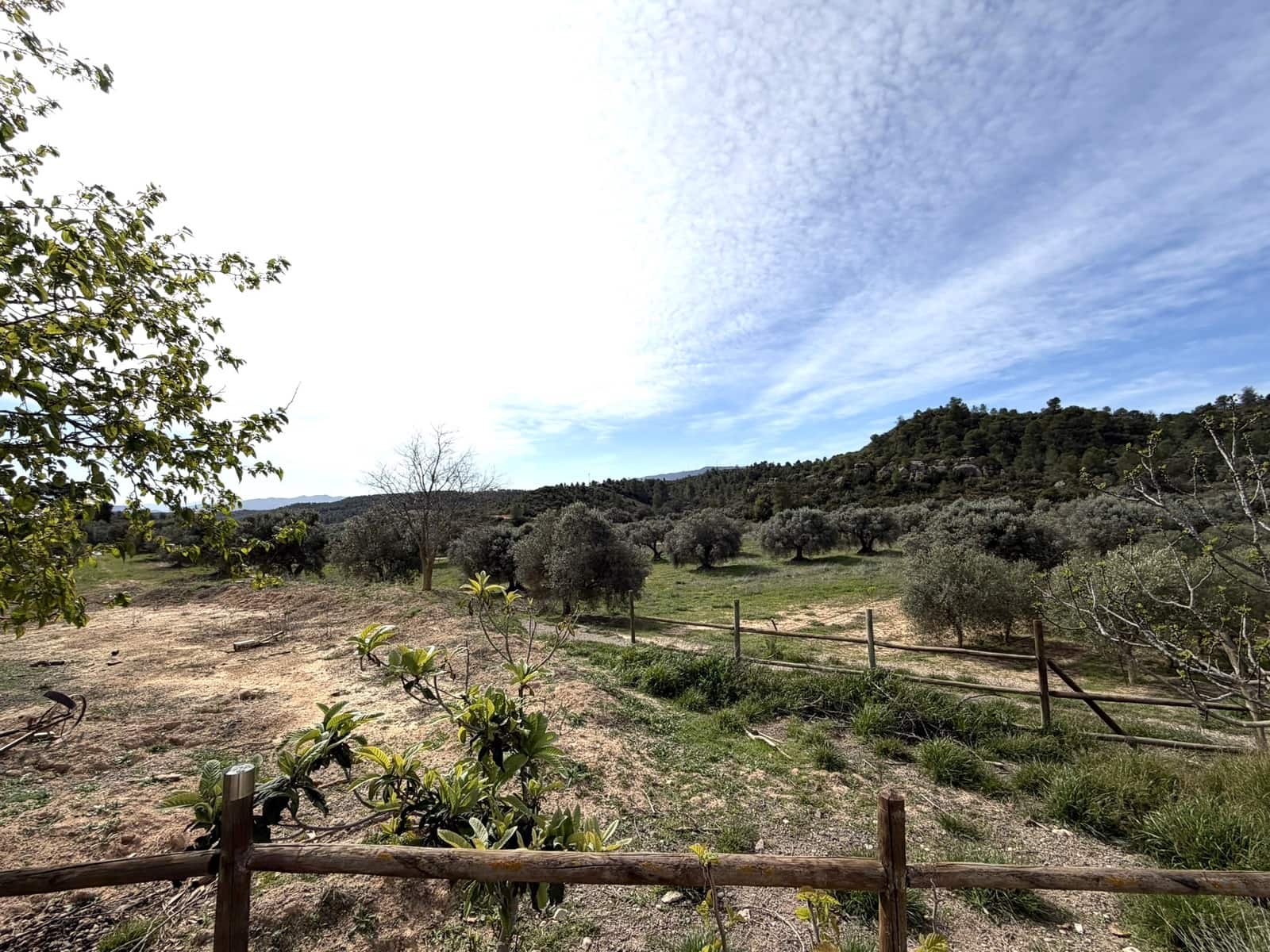 5 sypialnia Finka/Dom wiejski na sprzedaż w Flix z basenem garażem - 390 000 € (Ref: 9793612)