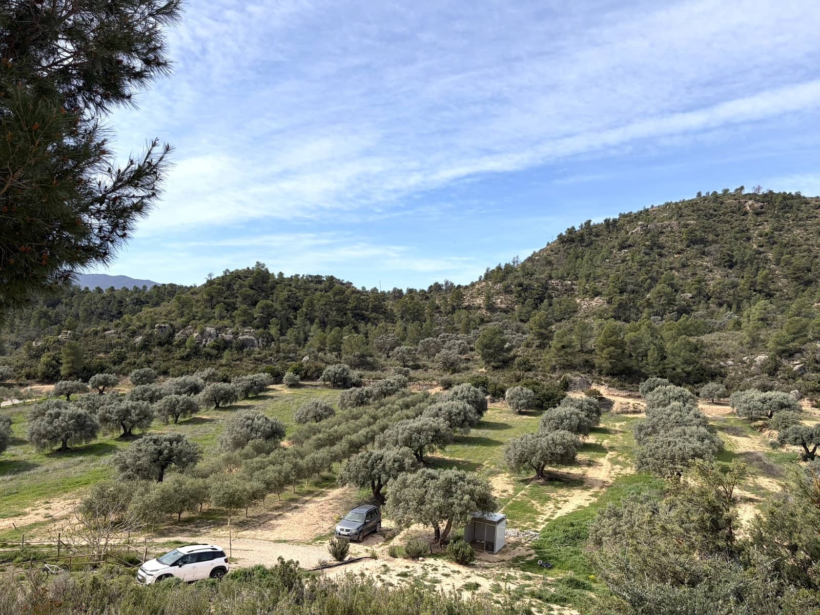 5 sypialnia Finka/Dom wiejski na sprzedaż w Flix z basenem garażem - 390 000 € (Ref: 9793612)