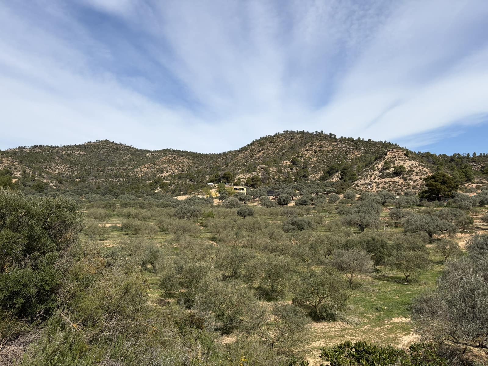 5 sypialnia Finka/Dom wiejski na sprzedaż w Flix z basenem garażem - 390 000 € (Ref: 9793612)