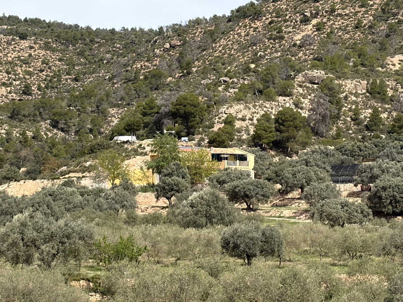 5 soveværelse Finca/Landehus til salg i Flix med swimmingpool garage - € 345.000 (Ref: 9793612)
