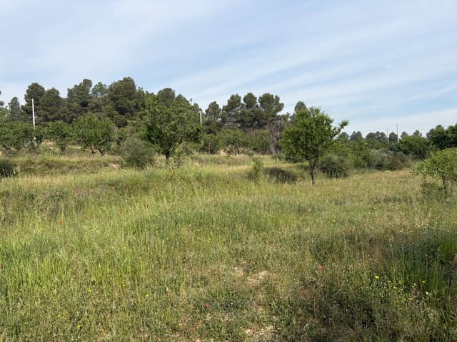 Finca/Casa di Campagna in vendita in Ascó - 23.500 € (Rif: 9820828)