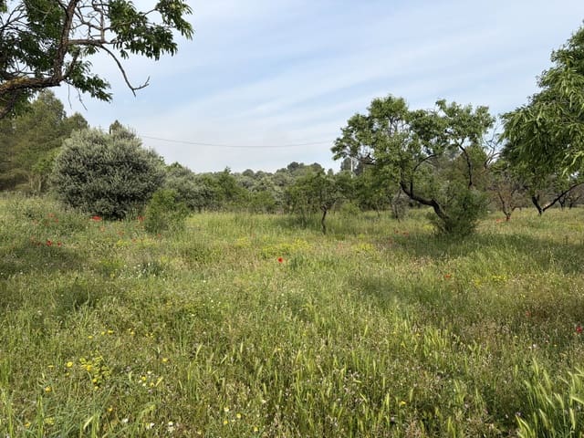 Finca/Casa di Campagna in vendita in Ascó - 23.500 € (Rif: 9820828)