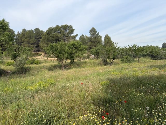Finca/Casa di Campagna in vendita in Ascó - 23.500 € (Rif: 9820828)