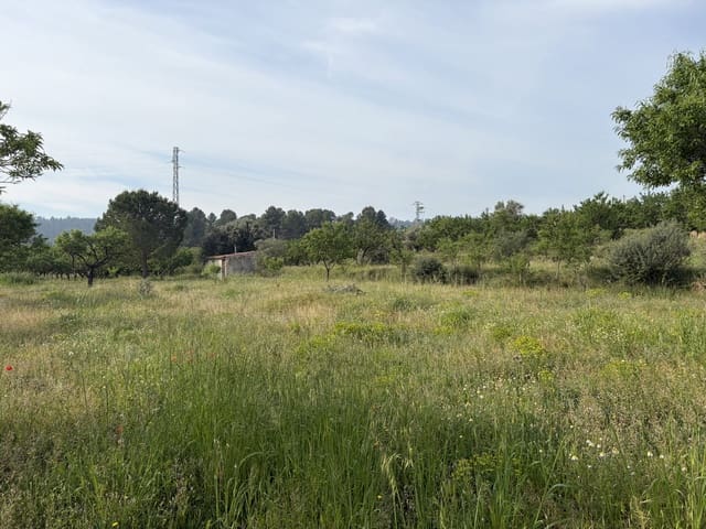 Finca/Casa di Campagna in vendita in Ascó - 23.500 € (Rif: 9820828)