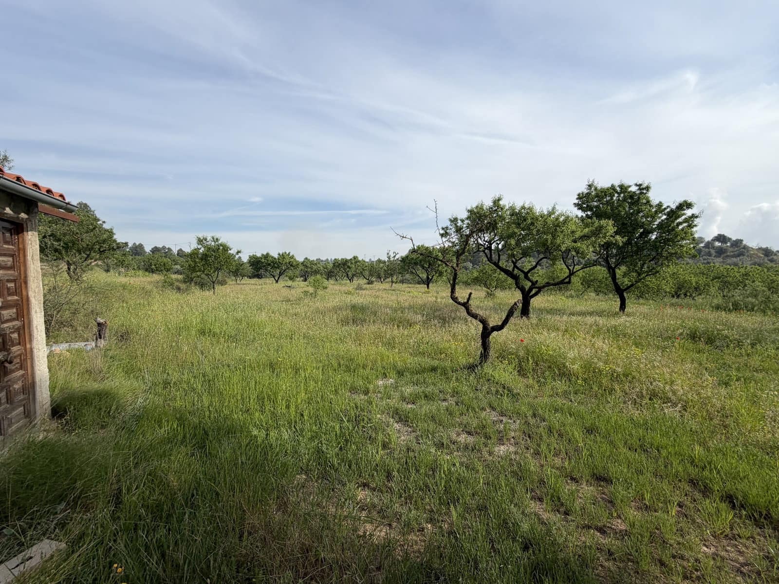 Finca/Country House for sale in Asco - € 23,500 (Ref: 9820828)