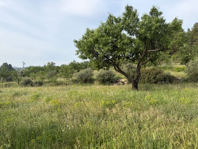 Finca/Casa di Campagna in vendita in Ascó - 23.500 € (Rif: 9820828)
