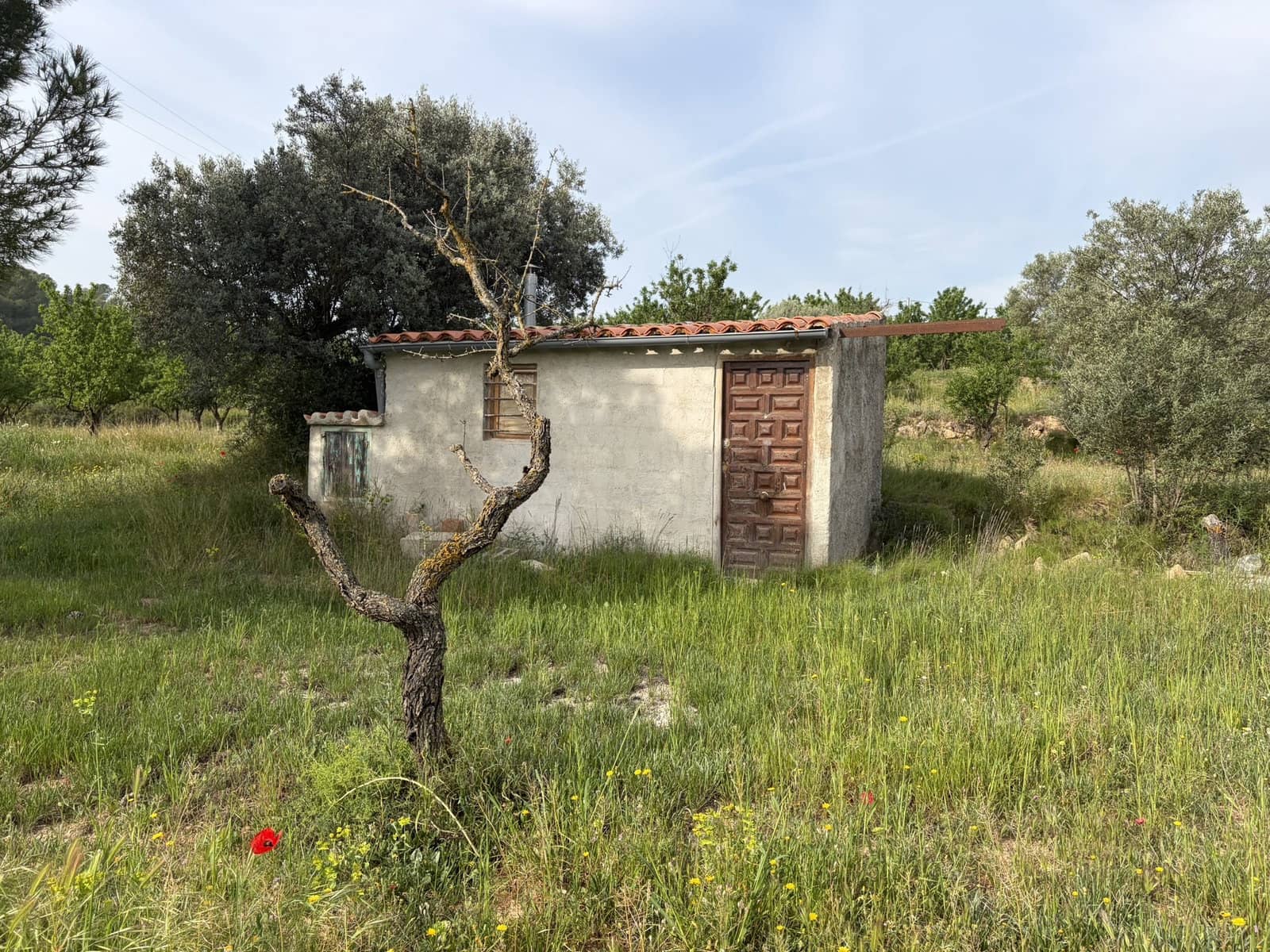 Finca/Country House for sale in Asco - € 23,500 (Ref: 9820828)