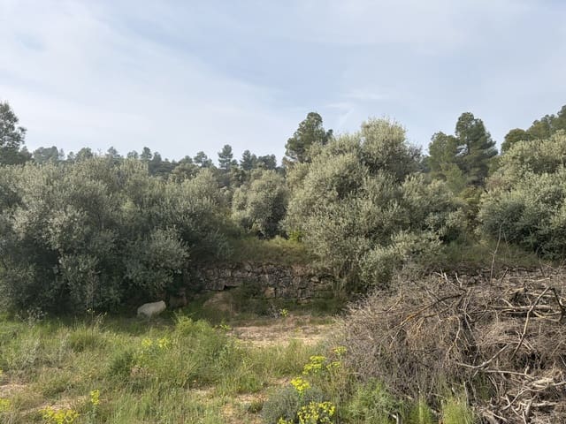 Terreno Non Edificato in vendita in Ascó - 17.500 € (Rif: 9823592)