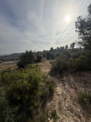 Undeveloped Land for sale in Ascó - € 17,500 (Ref: 9823592)
