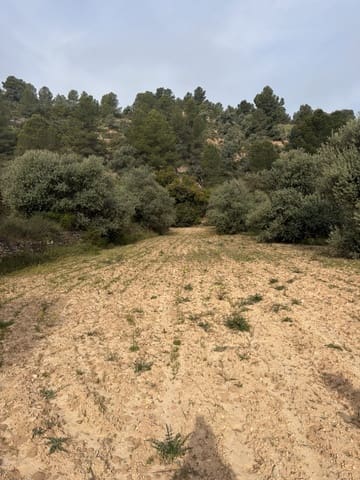 Undeveloped Land for sale in Ascó - € 17,500 (Ref: 9823592)