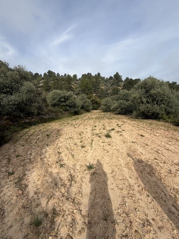 Undeveloped Land for sale in Ascó - € 17,500 (Ref: 9823592)