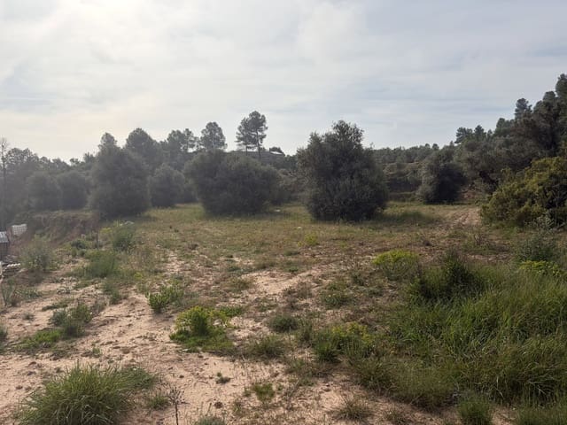 Undeveloped Land for sale in Ascó - € 17,500 (Ref: 9823592)