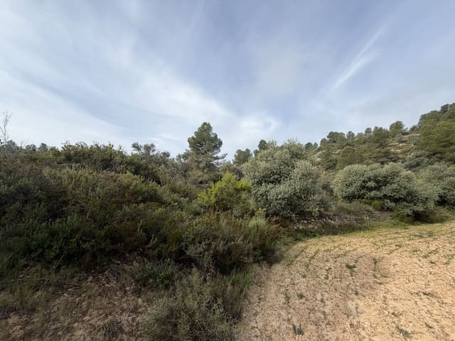Undeveloped Land for sale in Ascó - € 17,500 (Ref: 9823592)