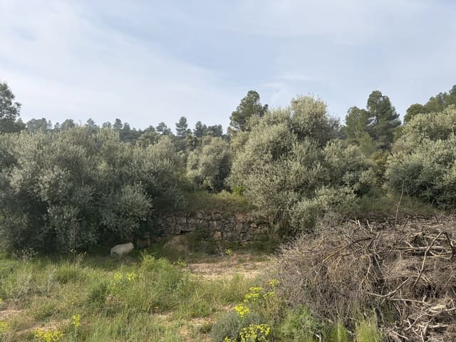 Undeveloped Land for sale in Ascó - € 17,500 (Ref: 9823592)