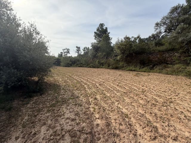 Undeveloped Land for sale in Ascó - € 17,500 (Ref: 9823592)