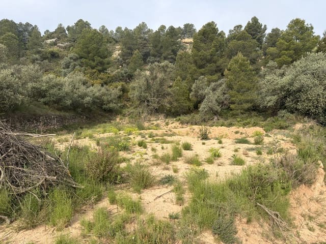 Undeveloped Land for sale in Ascó - € 17,500 (Ref: 9823592)