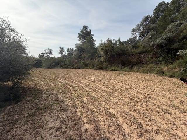 Undeveloped Land for sale in Ascó - € 17,500 (Ref: 9823592)