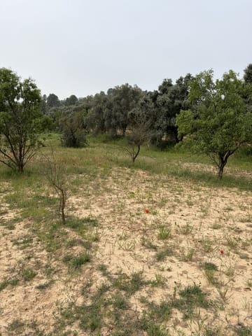 Mark till salu i Ascó - 15 000 € (Ref: 9824027)