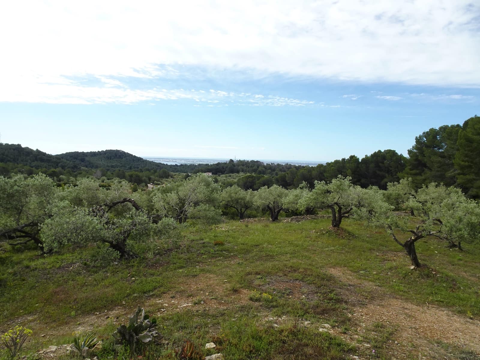 2 bedroom Finca/Country House for sale in El Perello - € 139,000 (Ref: 9848115)