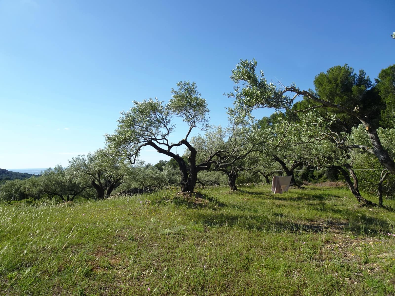 2 bedroom Finca/Country House for sale in El Perello - € 139,000 (Ref: 9848115)